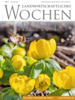 Ausgabe 5/2024