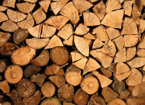 Kein Aufpreis auf CO²-neutrale Holzenergie