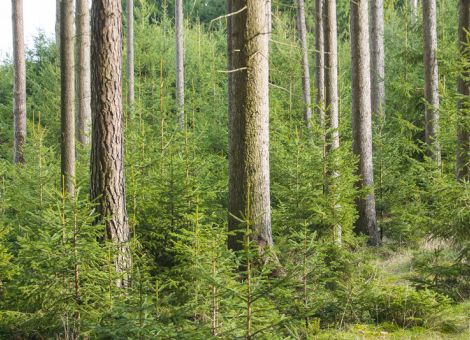 Städte und Kommunen wehren sich gegen Bevormundung