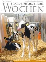 Ausgabe 11/2024
