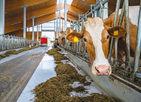 Die Landwirtschaft übererfüllt ihr Emissionsziel