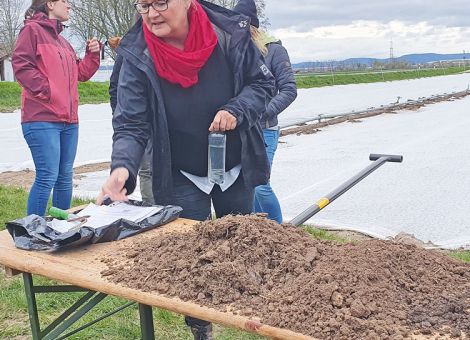 Zurück zu aktivem Bodenleben