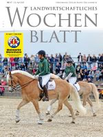 Ausgabe 17/2024