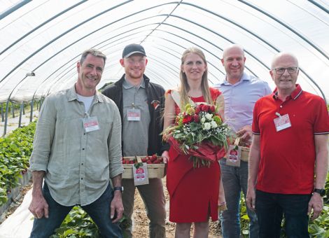 Die Erdbeersaison in Hessen ist eröffnet