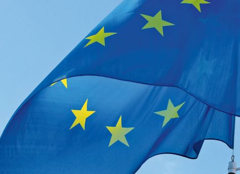 Mitentscheiden über zukünftige Agrarpolitik