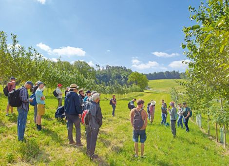 Schutz vor Starkregen und Austrocknung