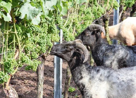 Praxisfragen gemeinsam bearbeiten