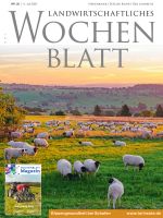 Ausgabe 28/2024