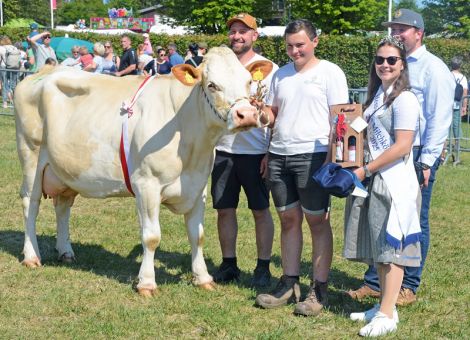 Erstklassige Rinder auf dem Pferdemarkt Beerfelden