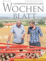 Ausgabe 31/2024