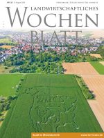 Ausgabe 32/2024
