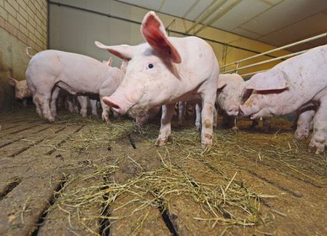 Seminar zu Seuchenlage und Sicherheitsmaßnahmen