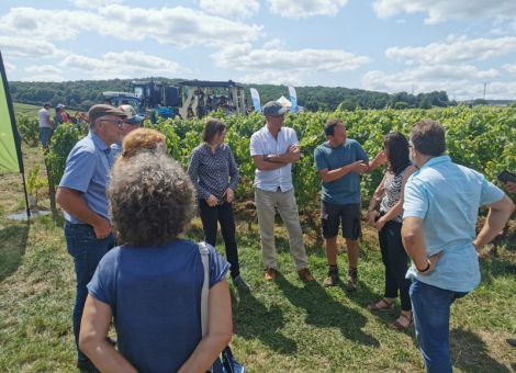 Grenzüberschreitender Austausch über Öko-Wein