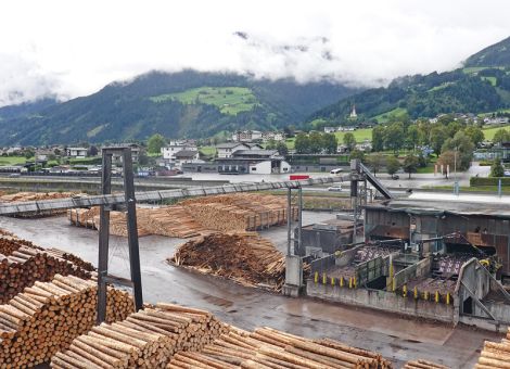 Baden-Württemberg haftet für Rundholzkartell