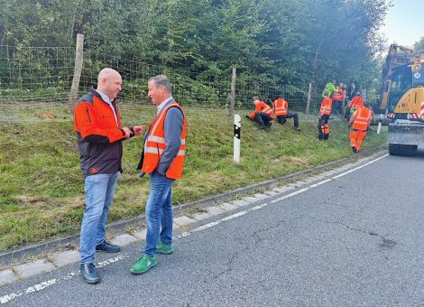 Länder wollen mehr Geld vom Bund für ASP-Bekämpfung