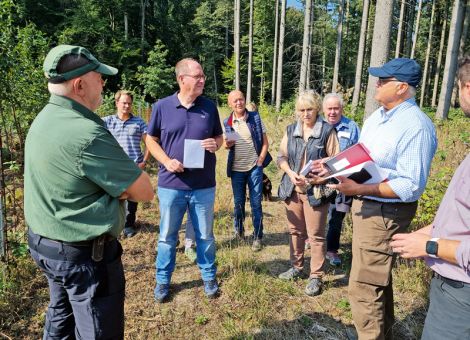 Waldbesitzer wollen mehr Baumarten gefördert sehen