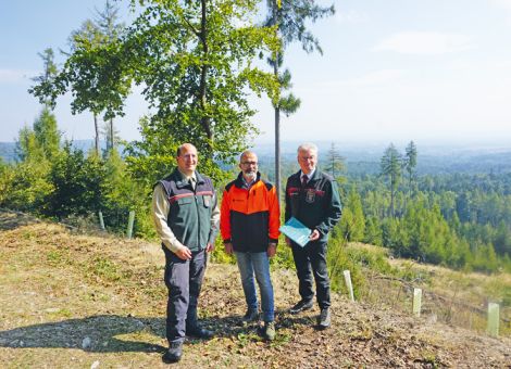 Mit einem an den Klimawandel anpassen Wald wirtschaften 
