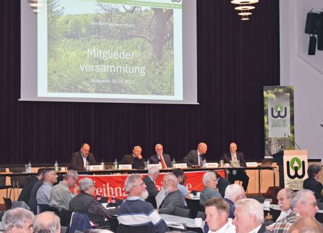 Leistungsträger im Kampf gegen den Klimawandel