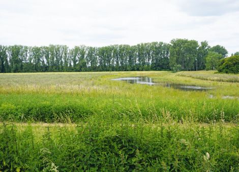 Gemeinsam für mehr Vielfalt in der Agrarlandschaft