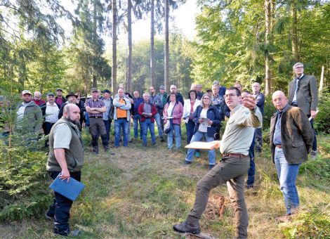Die Wälder der Rhön befinden sich im Wandel 