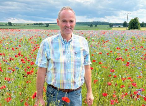 Ein Blütenmeer, um die Arbeit der Landwirtschaft zu zeigen