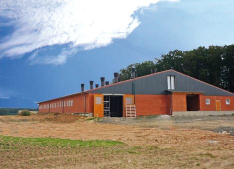 Neuer Schweinemaststall in Alsfeld-Hattendorf