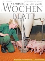 Ausgabe 41/2024