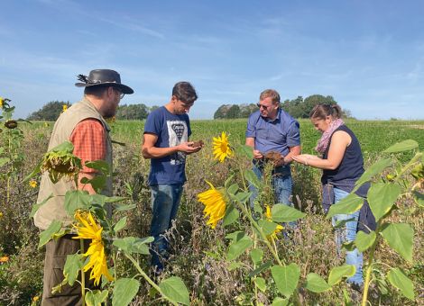 Demonstrationsvorhaben Partnerbetrieb Naturschutz