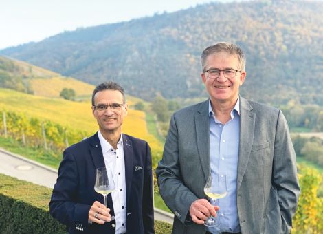 Spätfrostschäden sorgen für Ertragsrückgänge 