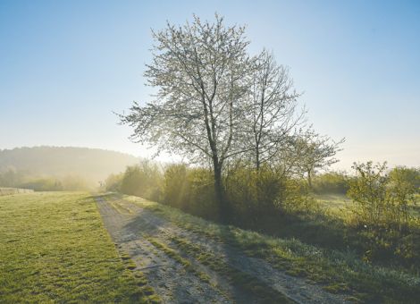 HBV fordert zügige Änderung des Gesetzes zum Grünen Band