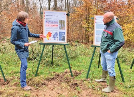 Hessischer Wald vor großen Herausforderungen