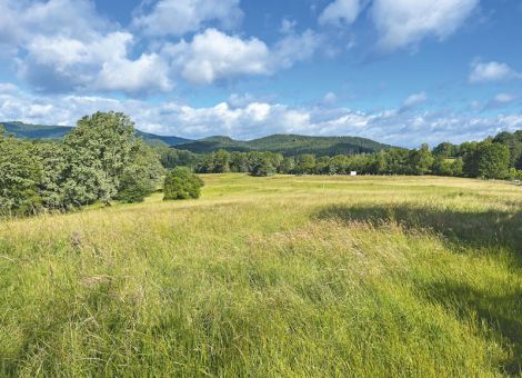 Grünland und Gülleausbringung 2025 – was ist zu beachten?