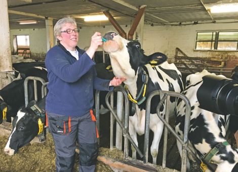 Tierärztliche Gebührenordnung und Tierseuchenlage im Fokus