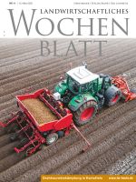 Ausgabe 11/2025