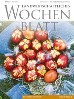 Ausgabe 16/2025