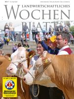 Ausgabe 17/2025