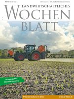 Ausgabe 19/2025