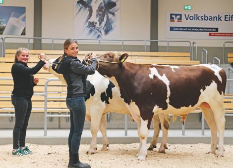 Heimische Kunden in Fließem stark vertreten