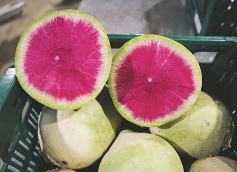 Wassermelonenrettich – Sommerfeeling im Winter