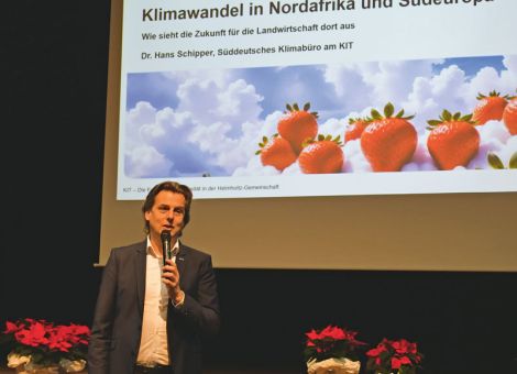 Erdbeeranbau – die Herausforderungen steigen