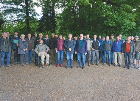 Auch gesunde Flächen beim Waldumbau einbeziehen