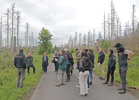 Zehn Jahre Nationalpark Hunsrück-Hochwald
