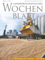 Ausgabe 24/2025