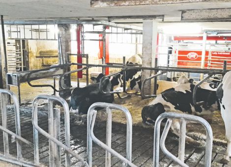 Mit dem AMS einen guten Start hinlegen