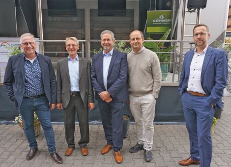 Die Kartoffeln stehen sehr gut da – in allen Regionen