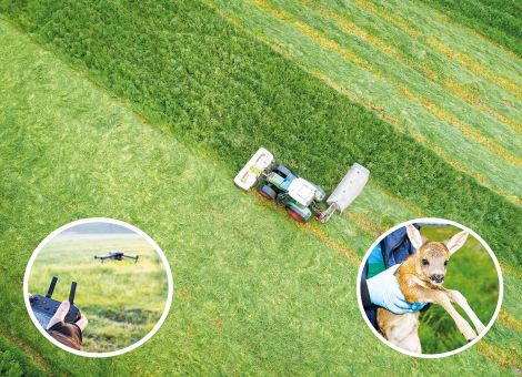 Drohneneinsatz in der Landwirtschaft