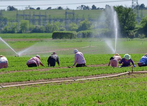 Mindestlohnempfehlung bleibt unter 15 Euro