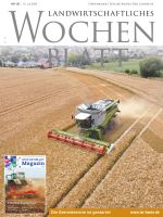 Ausgabe 28/2025