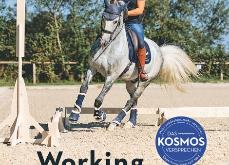 Working Equitation