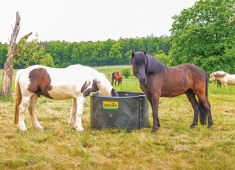 Kunststoff-Futterring Slow Feeder von Patura